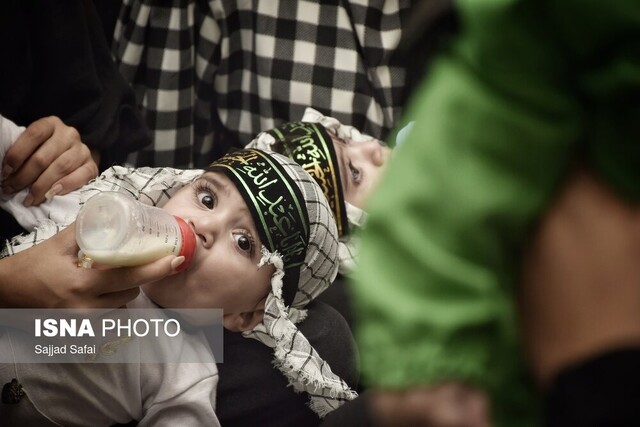 مراسم شیرخوارگان حسینی در بوشهر
