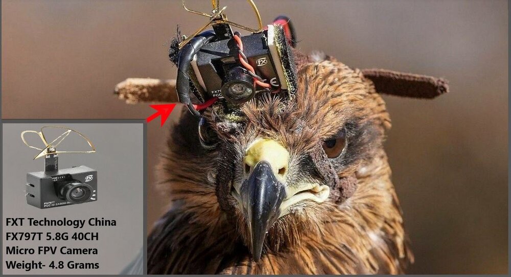 سلاح ضد پهپاد جدید هند پرنده سیاه را با پهپاد شکار می کند / عکس